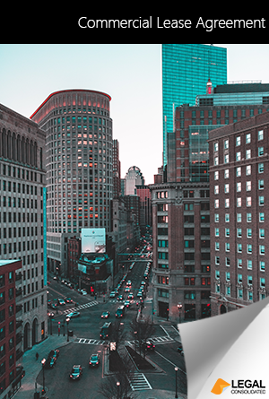 Commercial Lease Agreement book cover